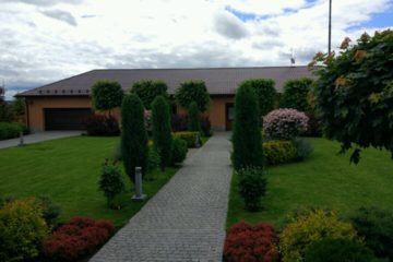 IMG-20181211-WA0001