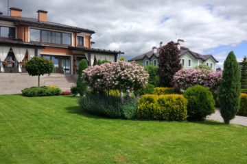 IMG-20181211-WA0005